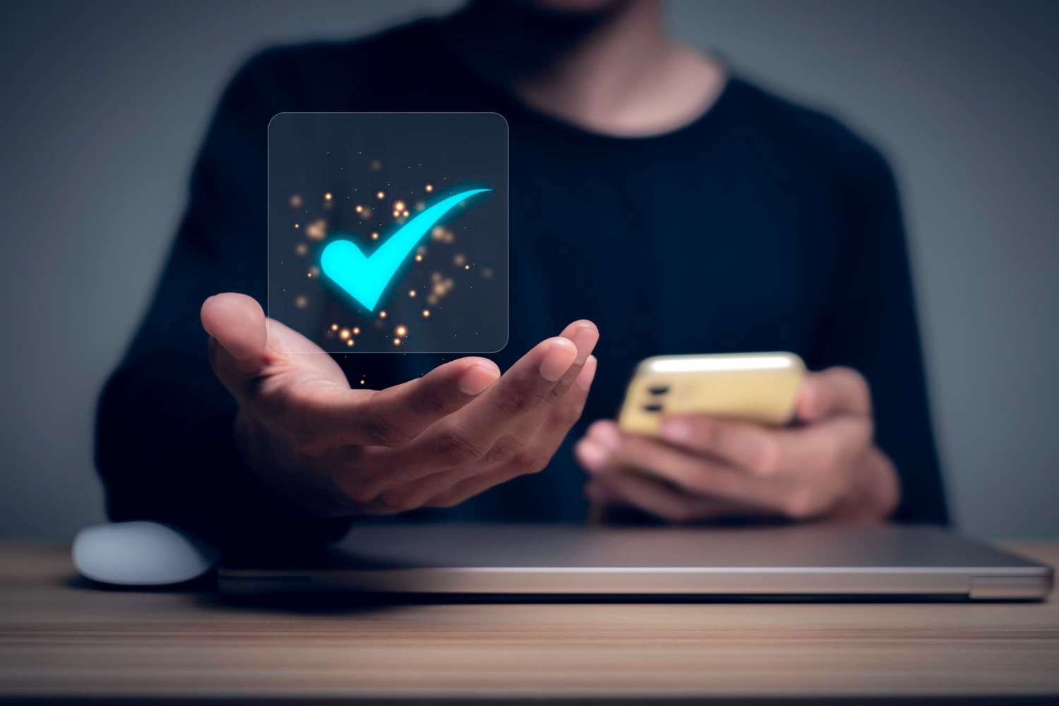 Verification Online and Offline